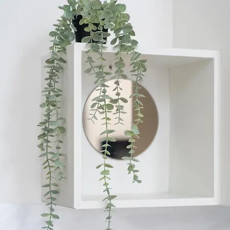 Kamienica Centrum 19 *