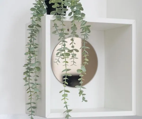 Kamienica Centrum 19 *